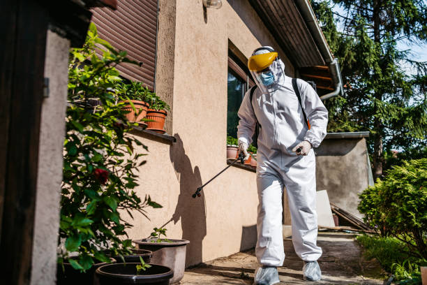 Professional Pest Control in Bertsch Oceanview, CA