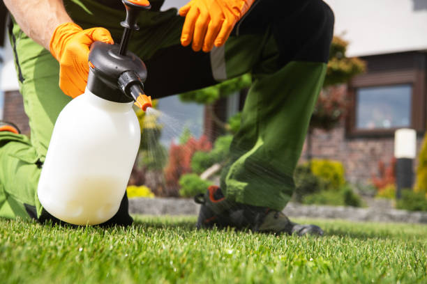 Best Commercial Pest Control Services  in Bertsch Oceanview, CA