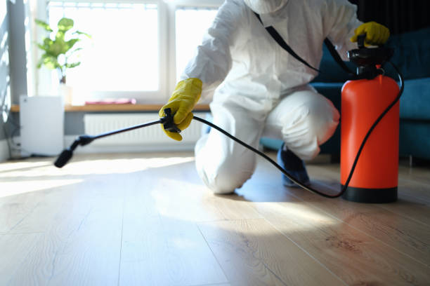 Best Termite Control Services  in Bertsch Oceanview, CA